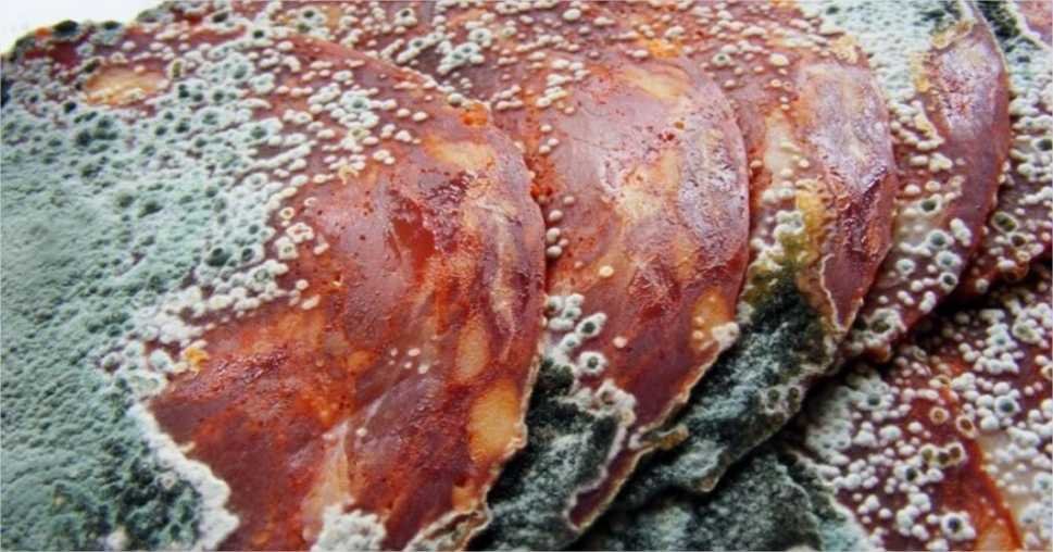 As pessoas estão comendo carne podre e porque isso é perturbador