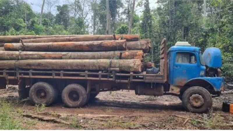 Trio é preso por envolvimento em extração de madeira e leva prejuízo de R$ 98 mil PJC-MT