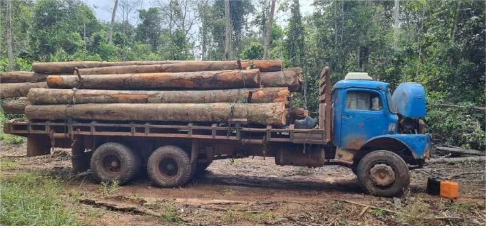 Trio é preso por envolvimento em extração de madeira e leva prejuízo de R$ 98 mil PJC-MT