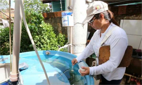 Mato Grosso ultrapassa 3 mil casos de dengue em 2024