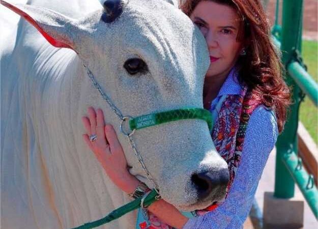 Pecuarista de MT é reconhecida internacionalmente por melhoramento genético e sustentabilidade