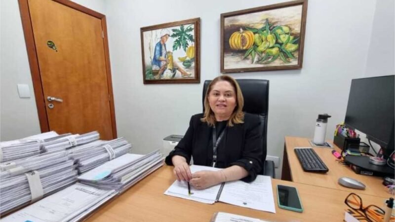 Primeira mulher na consultoria da CCJ na AL busca superar 860 pareceres em ano eleitoral