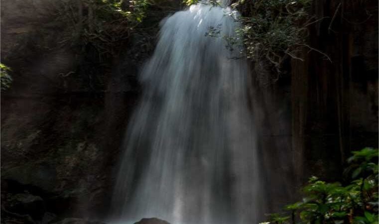 Com entrada gratuita, Salgadeira abre nas festividades de Carnaval