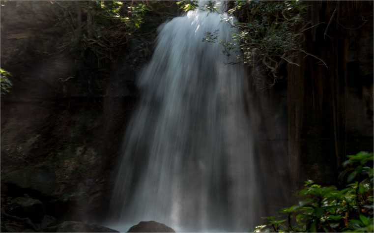 Com entrada gratuita, Salgadeira abre nas festividades de Carnaval