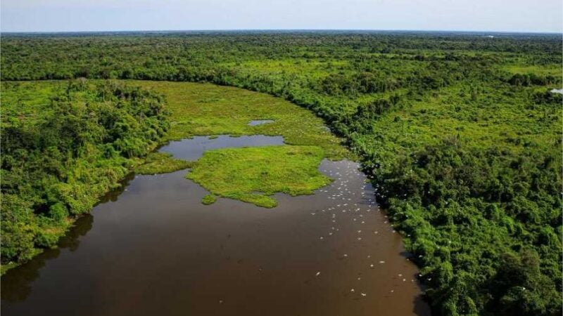 MT e MS desenvolverão plano integrado de combate a incêndios no Pantanal