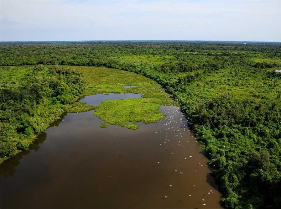 MT e MS desenvolverão plano integrado de combate a incêndios no Pantanal