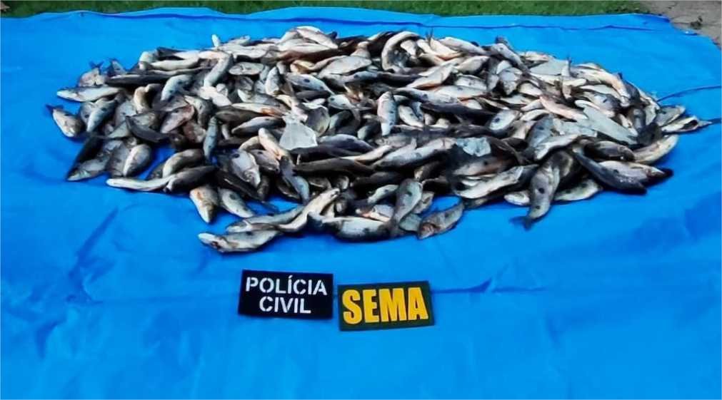 Sema apreende 220 quilos de peixes em operação contra pesca ilegal em Guarantã do Norte