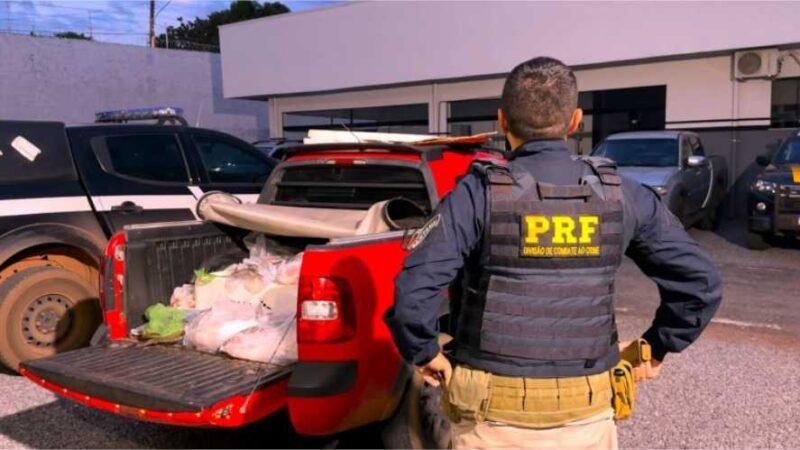 PRF apreende carga ilegal de pescado e veículo em Sorriso