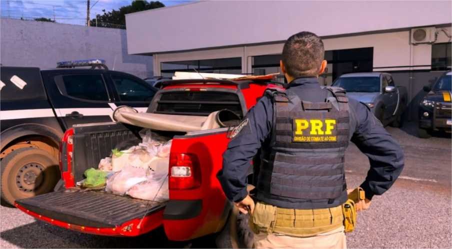 PRF apreende carga ilegal de pescado e veículo em Sorriso