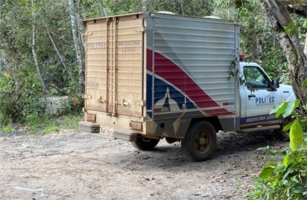 Idoso é pisoteado por gado e morre em fazenda de MT
