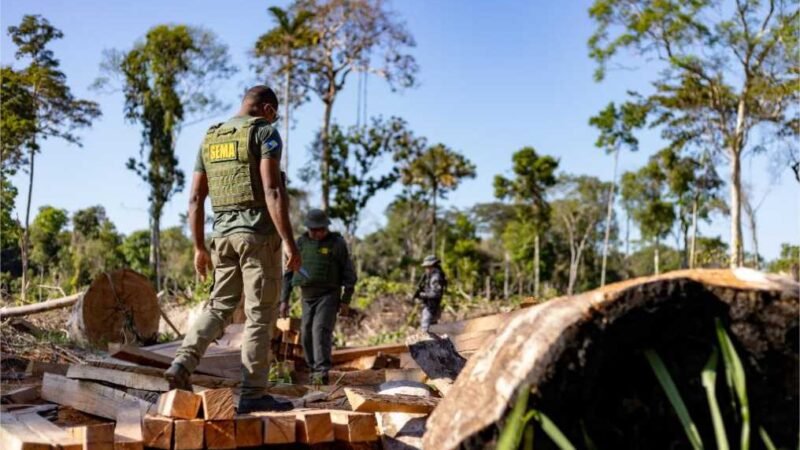 Período proibitivo para exploração do manejo florestal sustentável segue até 1º de abril