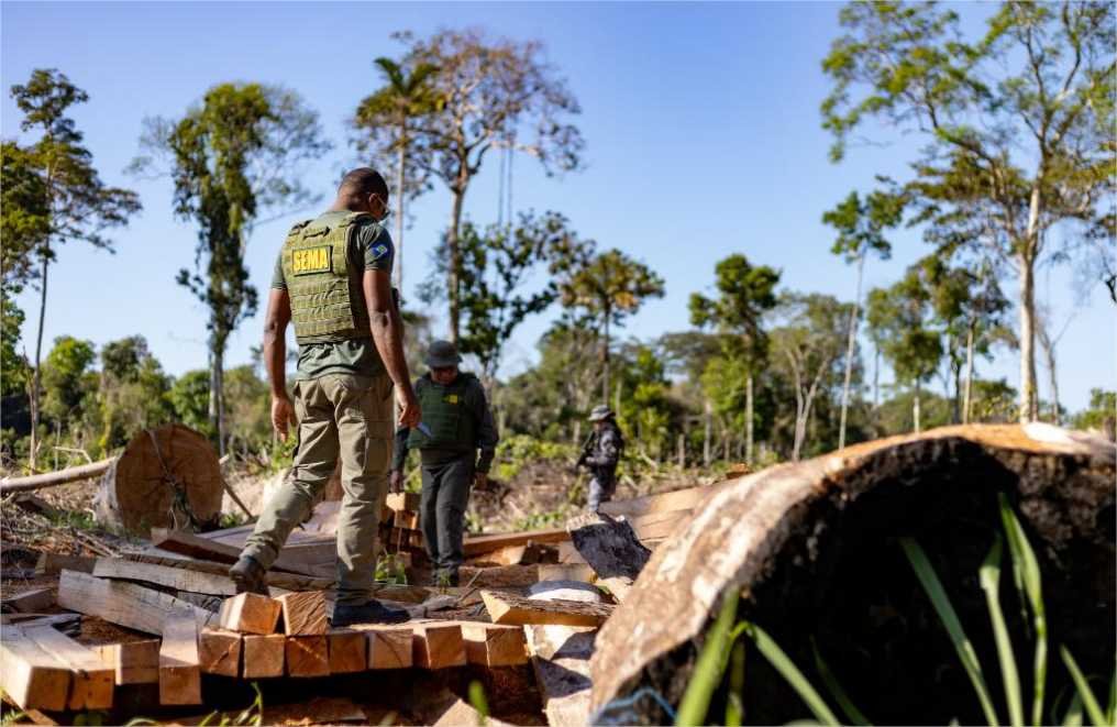 Período proibitivo para exploração do manejo florestal sustentável segue até 1º de abril