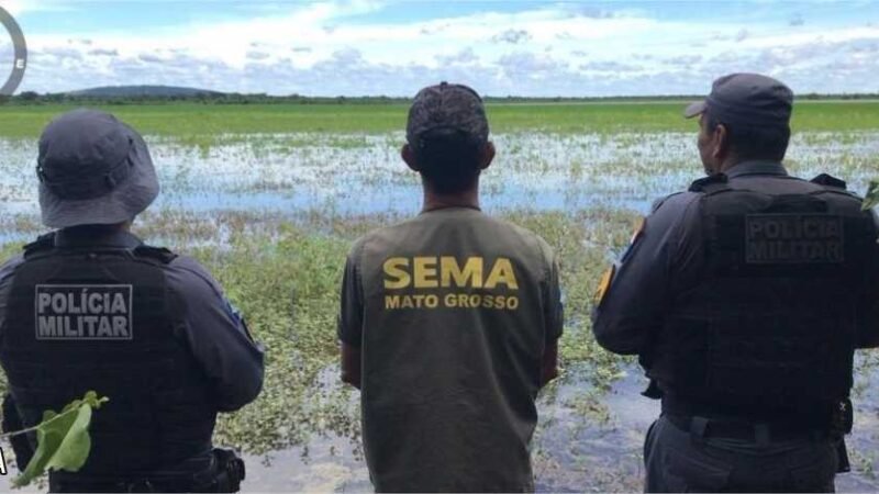Sema e Sesp apreendem 3,9 toneladas de pescado e aplicam R$ 3,5 milhões em multas no período de defeso da piracema