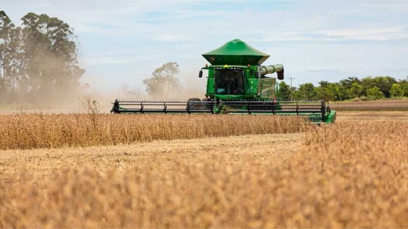 Cotações da soja sobem no Brasil, estima Cepea