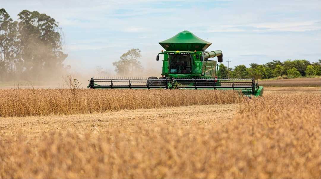 Cotações da soja sobem no Brasil, estima Cepea
