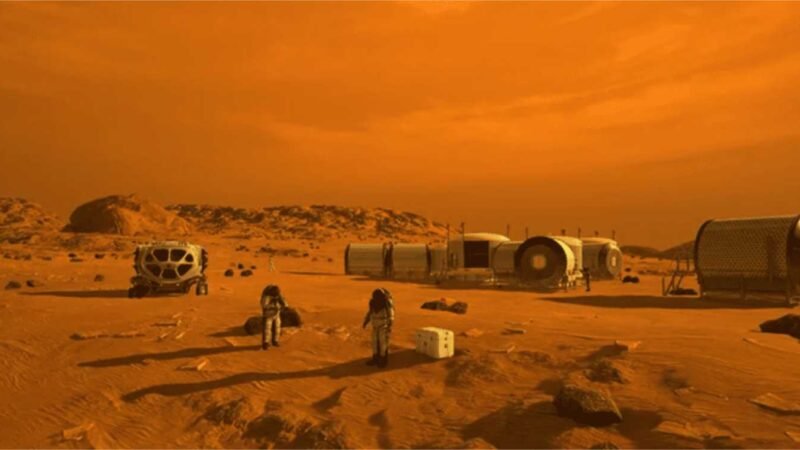 Quais serão os primeiros animais a viver em Marte?