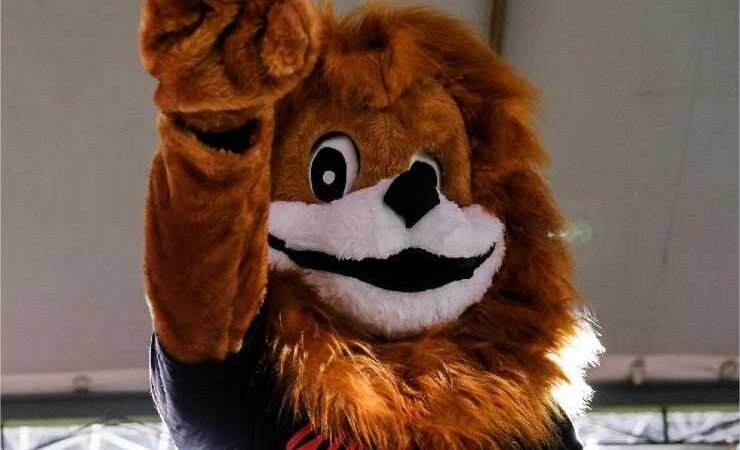 Polícia Militar atende 266 mil crianças e adolescentes pelo Proerd em 2023