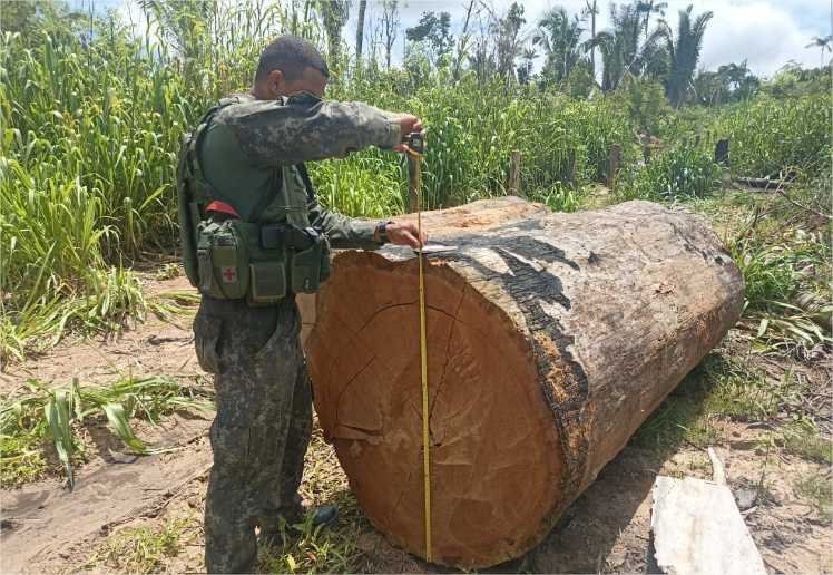 Batalhão Ambiental apreende maquinários, aplica R$ 321 mil em multa e prende homem por exploração ilegal de madeira