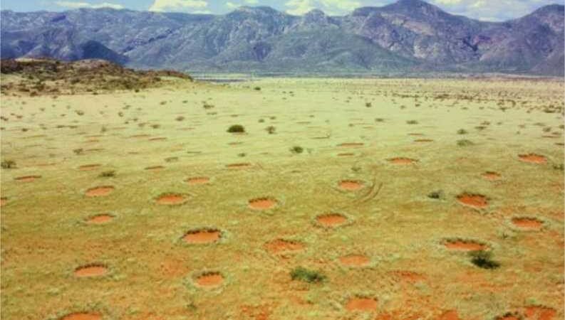 Cientistas desvendam mistério dos círculos de fadas