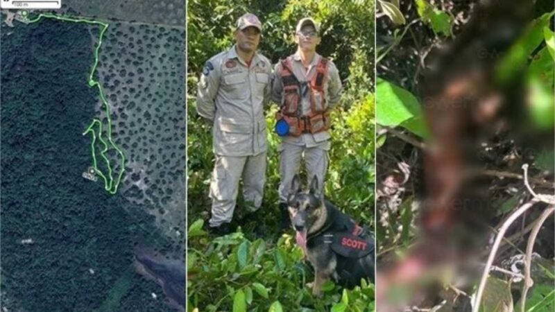 Desaparecido há 9 dias, adolescente é encontrado morto em mata