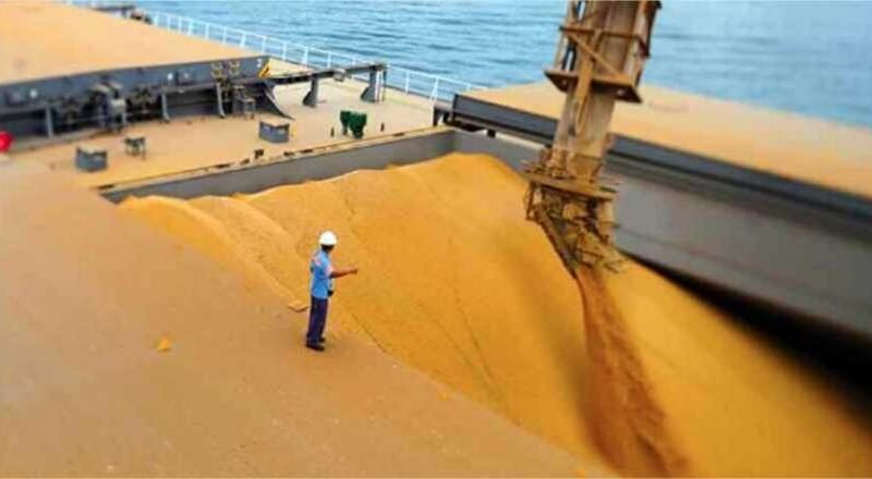 Produção de grãos em Mato Grosso deve reduzir 14,4% devido aos efeitos climáticos