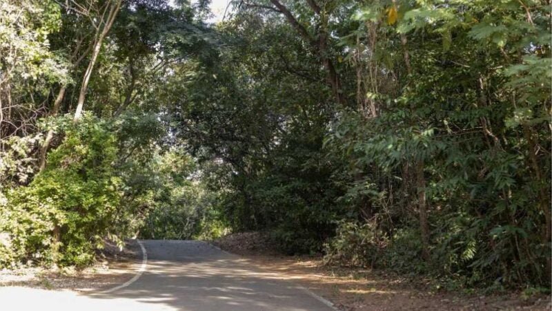 Parques estaduais são opções de lazer ao ar livre durante feriado prolongado de Carnaval