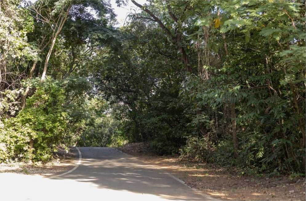 Parques estaduais são opções de lazer ao ar livre durante feriado prolongado de Carnaval