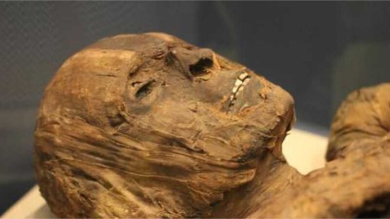 Homem é encontrado mumificado naturalmente 16 dias após desaparecer