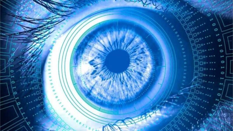 Conheça a mulher com a melhor visão do mundo