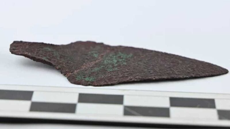 Adaga de cobre de 4 mil anos é encontrada em floresta polonesa