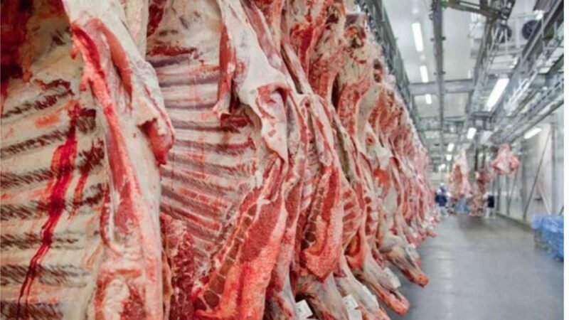 Brasil exporta 219 mil toneladas de carne bovina em fevereiro, maior valor para o mês desde 1997