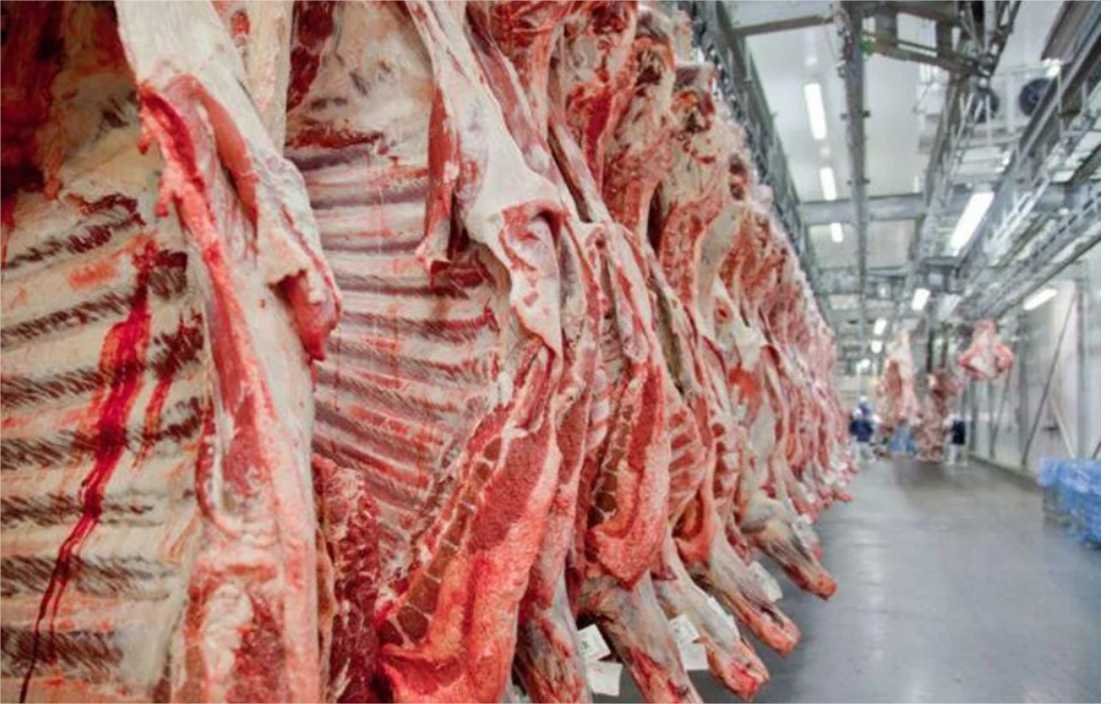 Exportação brasileira de carne bovina cresce 52% em fevereiro