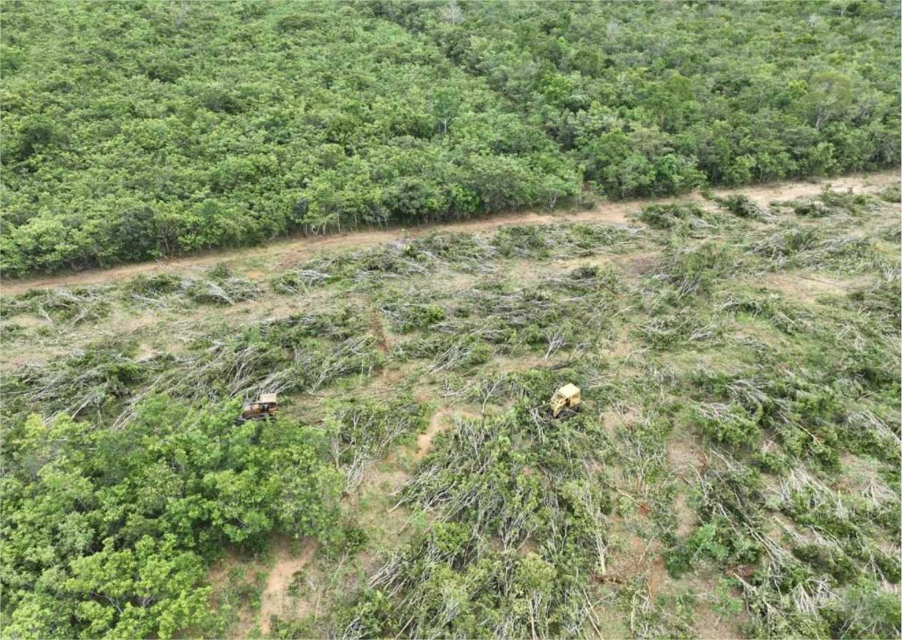 Sema e PM flagram desmatamento ilegal com apoio de drones e tecnologia de geoprocessamento