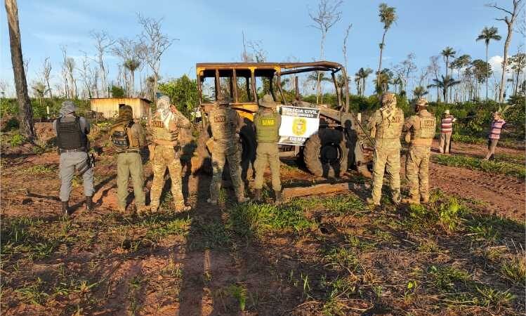 Operação Mata Virgem combate o desmatamento ilegal na região norte de MT