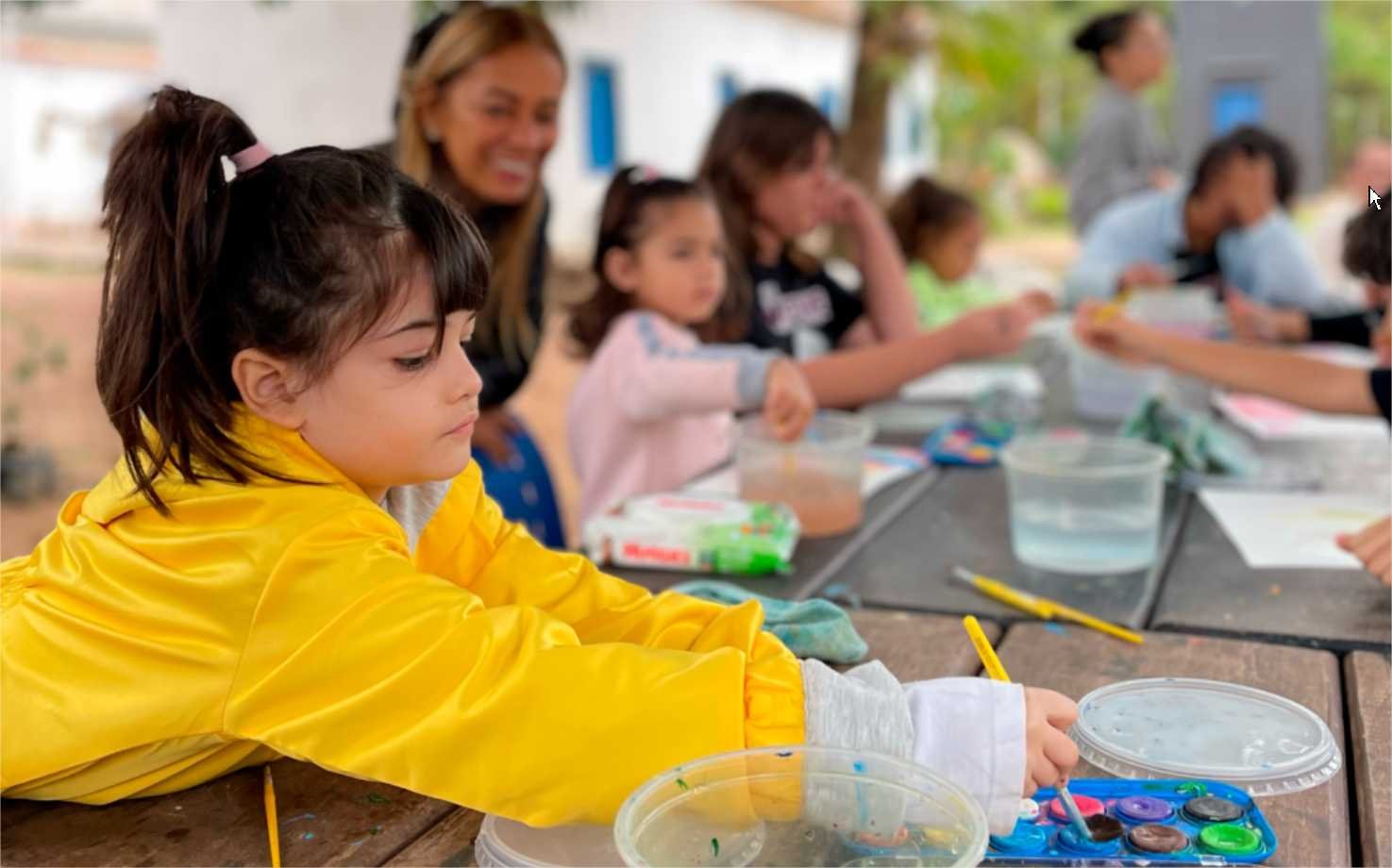 Museu de História Natural oferece gratuitamente oficinas de fotografia, gastronomia, pintura e yoga