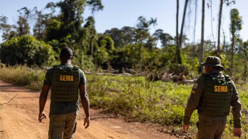 Operações ambientais resultaram na aplicação de R$ 2,3 milhões por crimes ambientais no primeiro bimestre