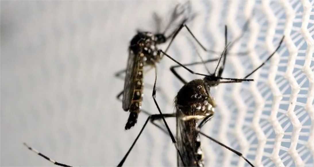 Campanha de conscientização contra dengue em Mato Grosso começa nesta segunda-feira (18)