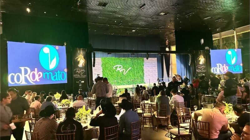 Ação inovadora pretende impulsionar economia e apoiar ações sociais em Mato Grosso