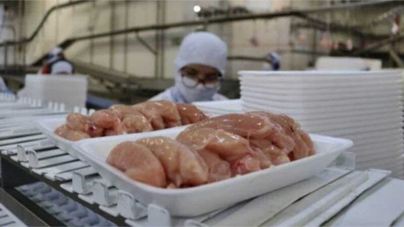 Carne de frango segue mais competitiva que a suína