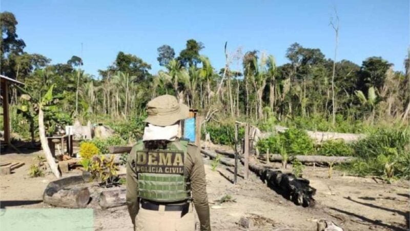 Produtor rural é multado em R$ 2,8 bilhões por desmate químico no Pantanal
