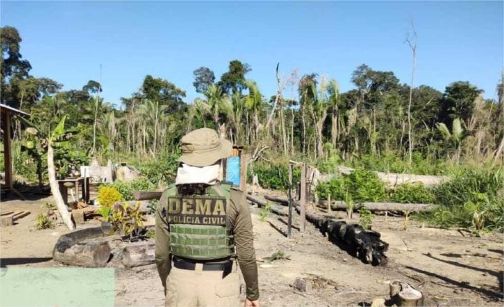 Produtor rural é multado em R$ 2,8 bilhões por desmate químico no Pantanal