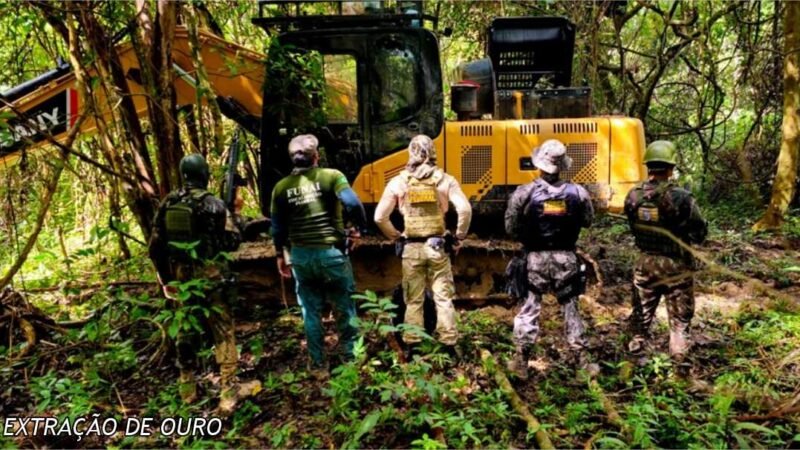 Ação conjunta combate a extração ilegal de ouro em Mato Grosso