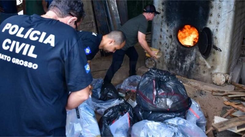 DERF realiza 1ª incineração do ano e queima mais de 80 kg de entorpecentes