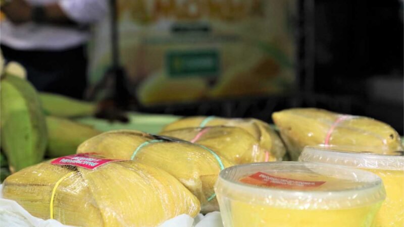 Festival terá shows de rasqueado, sertanejo e mais de 20 opções de pamonhas, com preço a partir de R$ 10; Confira a programação que começa no dia 19