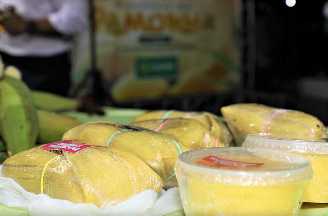 Festival terá shows de rasqueado, sertanejo e mais de 20 opções de pamonhas, com preço a partir de R$ 10; Confira a programação que começa no dia 19