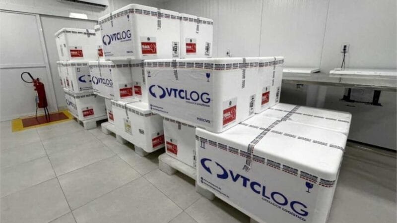 Doses da vacina contra a dengue serão liberadas a municípios de MT nesta quinta-feira (02)