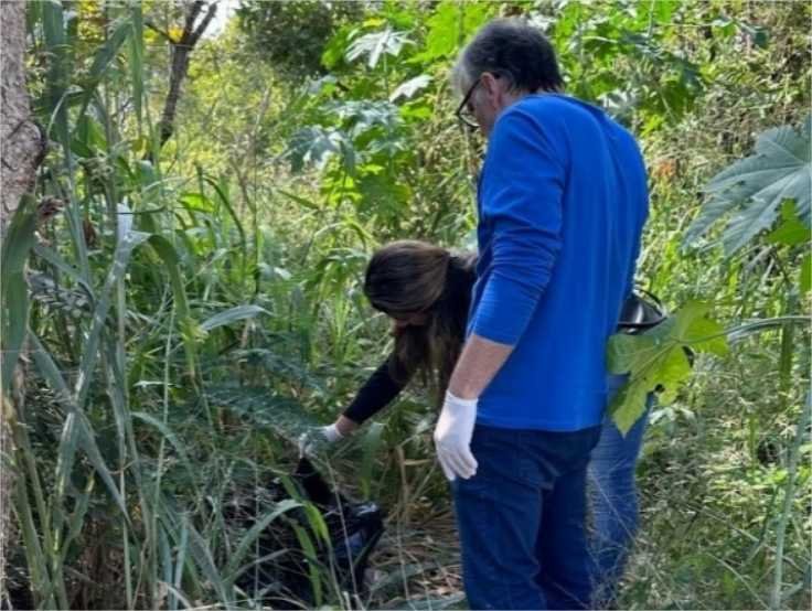 Após denúncia de Vidal, DEMA abre investigação para apurar descarte irregular de animais mortos