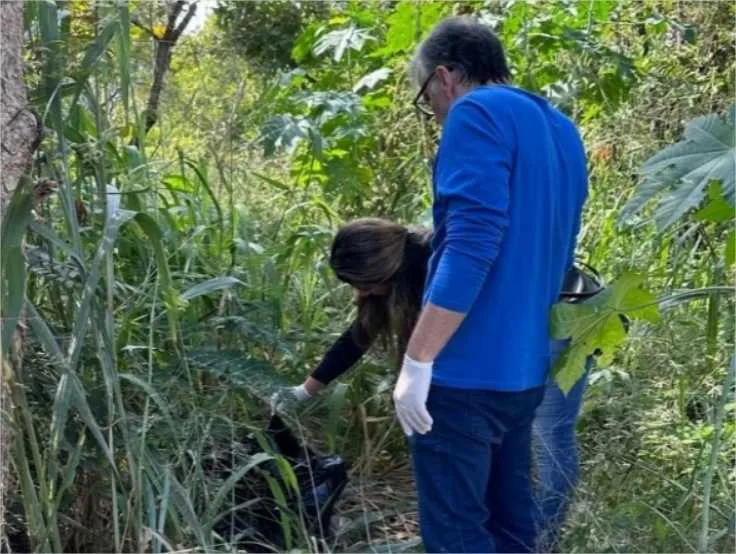 Após denúncia de Vidal, DEMA abre investigação para apurar descarte irregular de animais mortos