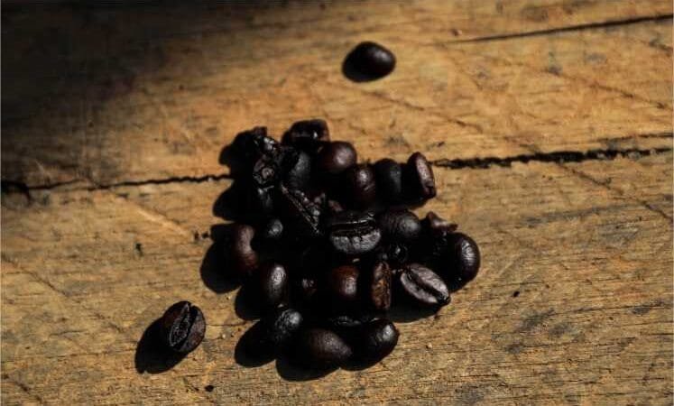 Público poderá degustar e adquirir 19 cafés produzidos em MT durante a FIT Pantanal