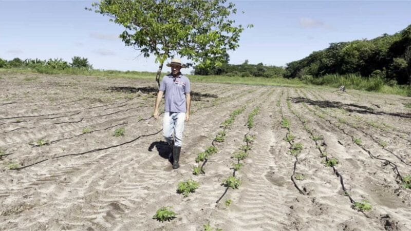 “Agora a gente vai conseguir produzir o ano todo”, afirma produtor familiar que recebeu kit de irrigação do Governo de MT